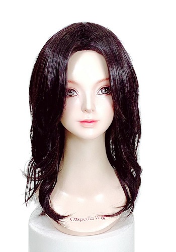 場地圭介 風 ウィッグ