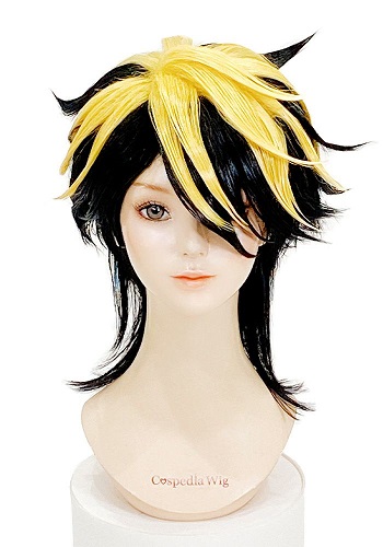 羽宮一虎 風 ウィッグ