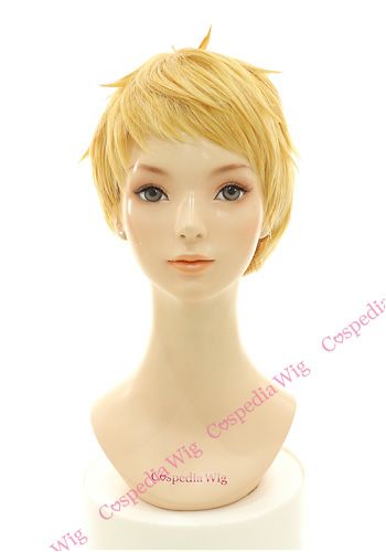 刀剣乱舞 博多藤四郎 風 ウィッグ