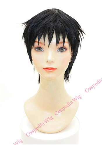 キングダム 信 風 ウィッグ