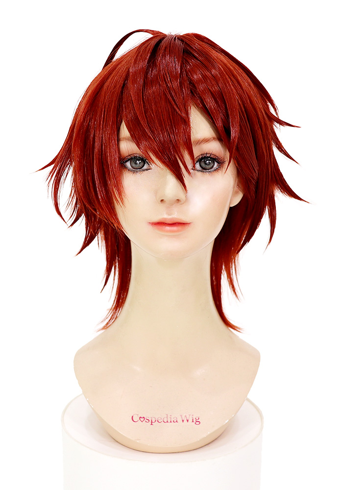 18TRIP 西園錬牙 風 ウィッグ