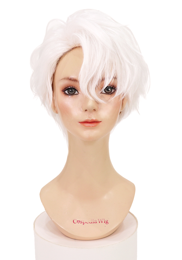 刀剣乱舞 雲生 風 ウィッグ