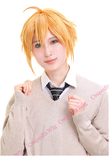 MARGINAL#4 野村アール 風 ウィッグ