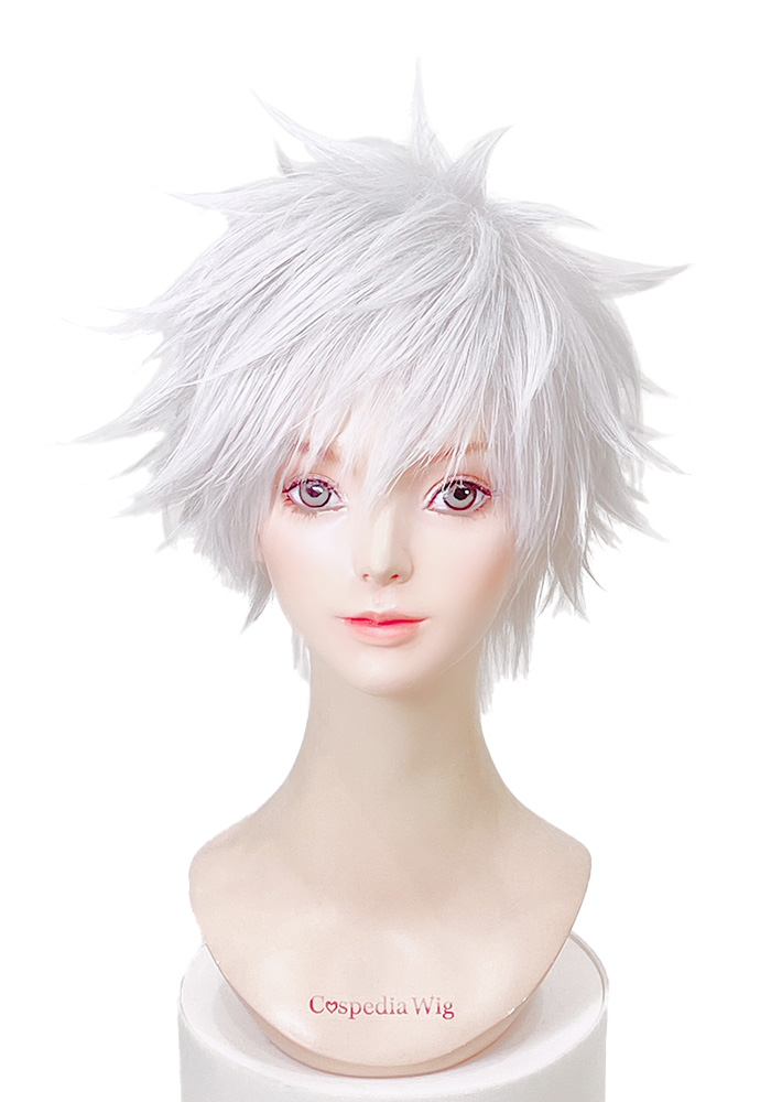 肥前忠広 風 ウィッグ