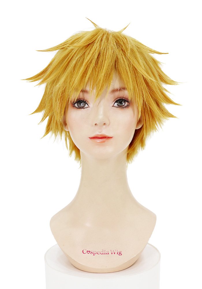 デンジ 風 ウィッグ